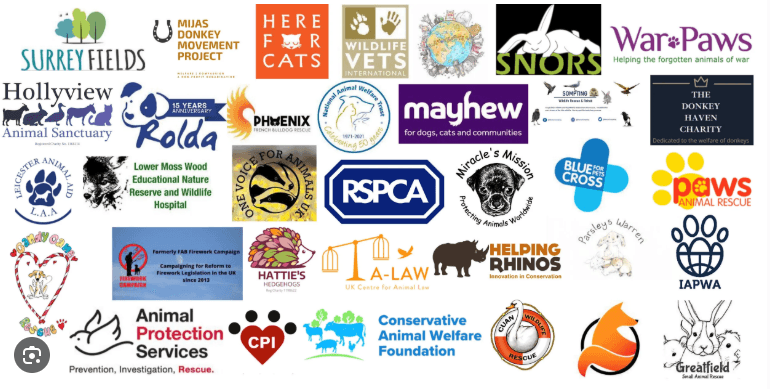 Never Miss Your Shot Golf team presenting an animal shelter donation